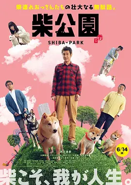 亚洲精品视频在线观看免费