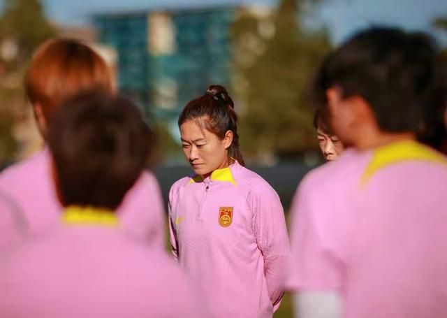 美女黄频视频大全免费的网站