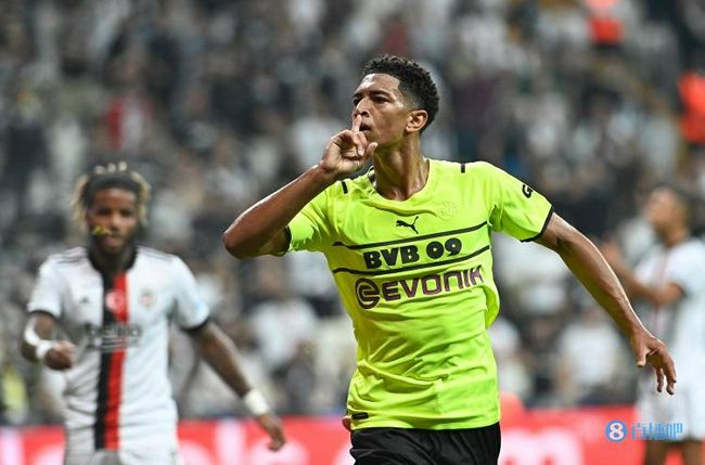 1000部做爰免费视频