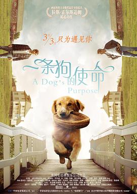 婷婷社区五月天