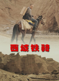 成人激情视频在线观看