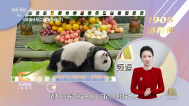 绘画老师